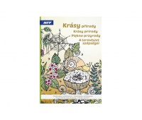 Kolorowanka antystresowa Piękno przyrody A4 32k.