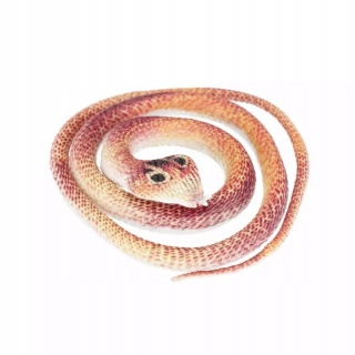 WĄŻ GUMOWY 70CM. 5827, Zabawki