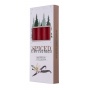Taper candle DONAU HOME Spiced Christmas, 20x170mm, set of 4, vanilla, red