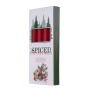 Taper candle DONAU HOME Spiced Christmas, 20x170mm, set of 4, apple with cinnamon, red