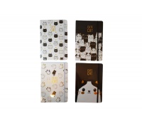 NOTES A-5 80K.707-50 CUTE CAT, Notesy szkolne, Zeszyty i bloki