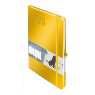 KALENDARZ A5 MINIMALIZM TNS ZŁOTY 2026, Tygodniowe, Kalendarze