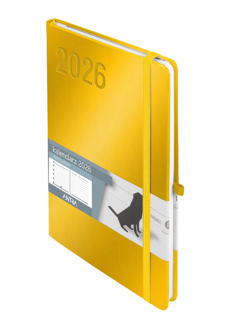 KALENDARZ A5 MINIMALIZM TNS ZŁOTY 2026, Tygodniowe, Kalendarze