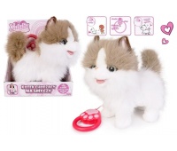 KOT CHODZĄCY NA SMYCZY NATALIA BIAŁO-RUDY 1818