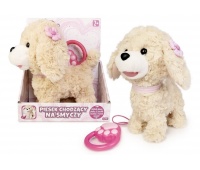 PIESEK CHODZĄCY NA SMYCZY NATALIA 5526