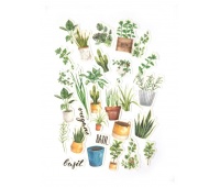 Naklejki transparentne ROŚLINY ZIELONE(39szt.), Naklejki, Art. kreatywne