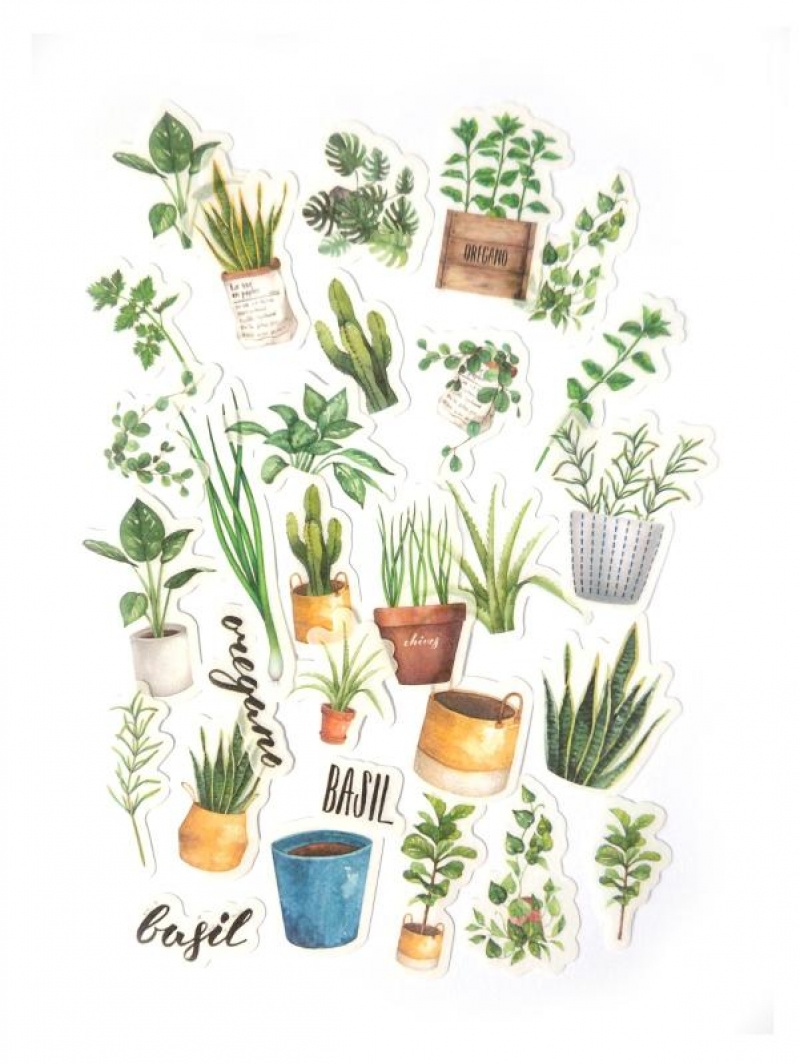 Naklejki transparentne ROŚLINY ZIELONE(39szt.), Naklejki, Art. kreatywne