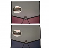 TECZKA Z GUMKĄ 13 PRZEGR&Oacute;DEK DL5253, Teczki ofertowe i harmonijkowe, Organizacja dokument&oacute;w