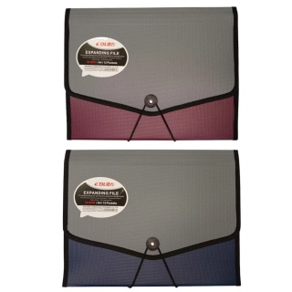 TECZKA Z GUMKĄ 13 PRZEGR&Oacute;DEK DL5253, Teczki ofertowe i harmonijkowe, Organizacja dokument&oacute;w