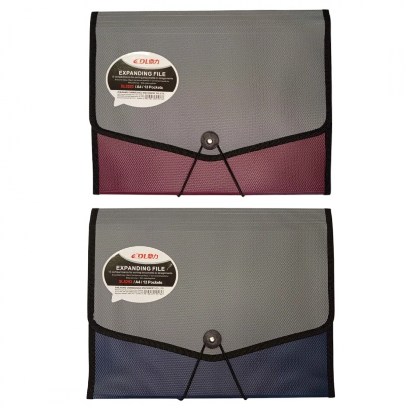 TECZKA Z GUMKĄ 13 PRZEGR&Oacute;DEK DL5253, Teczki ofertowe i harmonijkowe, Organizacja dokument&oacute;w