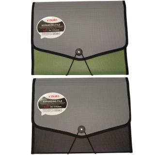 TECZKA Z GUMKĄ 13 PRZEGR&Oacute;DEK DL5253, Teczki ofertowe i harmonijkowe, Organizacja dokument&oacute;w