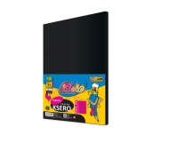 PAPIER A4 160g.100ark.T401 CZARNY.PASTELLO, Papiery kreatywne, Papier