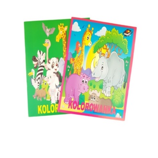 KOLOROWANKA A5 16K., Kolorowanki, Książeczki
