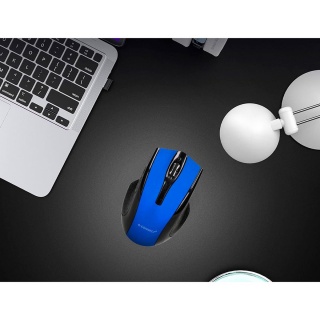 Myszka bezprzewodowa Q-CONNECT, 4-przyciskowa, oburęczna, 2xAAA, niebieska, Klawiatury i myszki, Akcesoria komputerowe