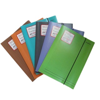 TECZKA Z GUMKĄ PP WZ&Oacute;R A4 LT12-26, Teczki plastikowe, Organizacja dokument&oacute;w