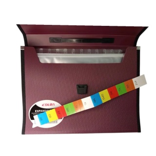 TECZKA Z RĄCZKĄ 13 PRZEGR&Oacute;DEK DL5255 LT12-22, Teczki ofertowe i harmonijkowe, Organizacja dokument&oacute;w