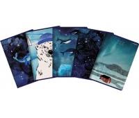 ZESZYT TOP WINTER SAILOR A5 80K.KRATKA 5szt.