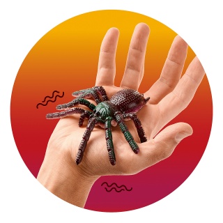 Pająk gumowy TRENDHAUS ZOO, mix kolor&oacute;w, Gry i zabawki, Gadżety