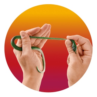 Rozciągliwy wąż TRENDHAUS ZOO, 30 cm, mix kolor&oacute;w, Gry i zabawki, Gadżety