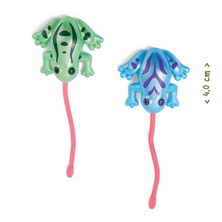 Biegacz okienny żaba TRENDHAUS ZOO, 2 szt., mix kolor&oacute;w, Gry i zabawki, Gadżety