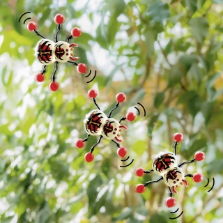 Biegacz okienny pająk TRENDHAUS ZOO, mix kolor&oacute;w, Gry i zabawki, Gadżety