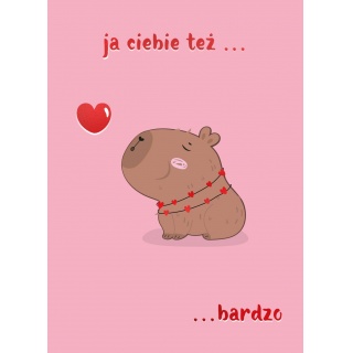KARNET B6 Walentynki KAPIBARA, Karnety, kartki okolicznościowe, Art. dekoracyjne i prezentowe