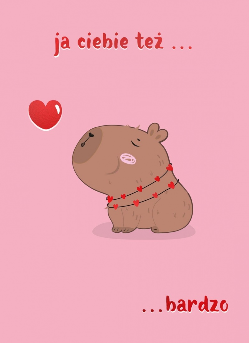 KARNET B6 Walentynki KAPIBARA, Karnety, kartki okolicznościowe, Art. dekoracyjne i prezentowe