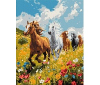 ZESTAW DO MAL.PO NUM. POLOWA HARMONIA 40X50CM