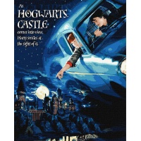 Malowanie po numerach IDEYKA, 40x50cm, metallic, Harry Potter: Lot samochodem, 1 szt., Produkty kreatywne, Artykuły szkolne