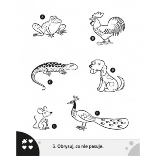 Gł&oacute;wkuję z oł&oacute;wkiem. Pomarańczowa, Edukacyjne, Książeczki