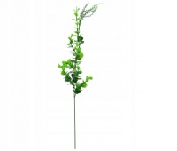 DUŻA GAŁĄZKA BUKSZPANU