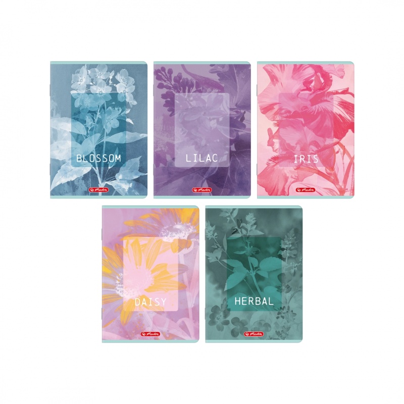 ZESZYT HER BLOSSOM A5 60K.LINIA /10/, Zeszyty, Zeszyty i bloki