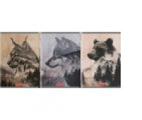 ZESZYT HER WILD A4 80K.KRATKA /5/, Zeszyty, Zeszyty i bloki