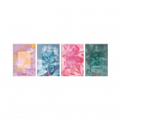 BRULION HER BLOSSOM A5 96K.KRATKA