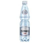 Woda Cisowianka, gazowana, butelka plastikowa, 0,5l, kaucja, Woda, Artykuły spożywcze