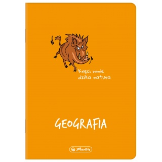 ZESZYT A5 60K.KRATKA GEOGRAFIA /10/, Zeszyty, Zeszyty i bloki