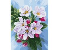 ZESTAW DO MAL.PO NUMERACH KWITNIĘCIE JABŁONI 30X40