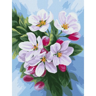 ZESTAW DO MAL.PO NUMERACH KWITNIĘCIE JABŁONI 30X40, Zestawy artystyczne, Plastyka