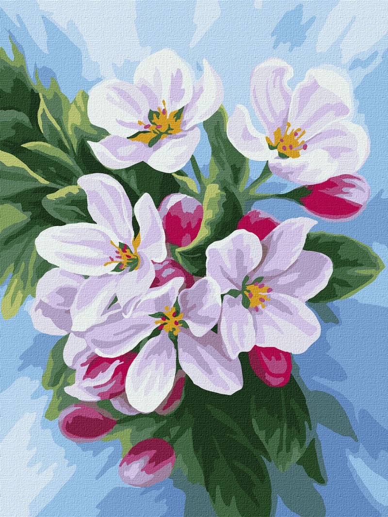 ZESTAW DO MAL.PO NUMERACH KWITNIĘCIE JABŁONI 30X40, Zestawy artystyczne, Plastyka