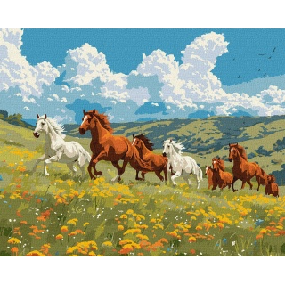 ZESTAW DO MAL.PO NUMERACH SIŁA I WDZIĘK 40X50, Zestawy kreatywne, Art. kreatywne