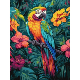 ZESTAW DO MAL.PO NUMERACH.TROPIKALNY PTAK 30X40, Zestawy kreatywne, Art. kreatywne