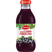 Nektar FORTUNA, czarna porzeczka, szkło, 0,3l, Soki, Artykuły spożywcze