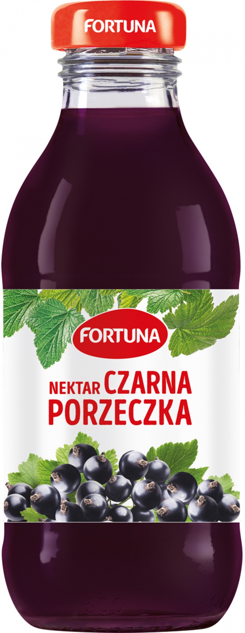 Nektar FORTUNA, czarna porzeczka, szkło, 0,3l, Soki, Artykuły spożywcze