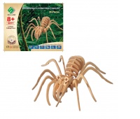 SKŁADANKA MAŁA TARANTULA A