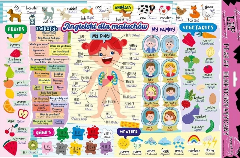 PLAKAT ELEKTROSTATYCZNY ANGIELSKI DLA NAJMŁODSZYCH, Pozostałe, Galanteria papiernicza