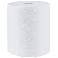 Cellulose kitchen towels DONAU PROFESSIONAL Kolos Junior, 2 layers, 300 sheets, 1 pc, white