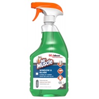 Płyn do mycia okien i szyb MR MUSCLE Window & Glass, spray, 750ml
