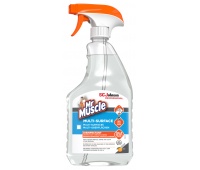 Płyn do mycia r&oacute;żnych powierzchni MR MUSCLE Multi-Surface, spray, 750ml, Środki czyszczące, Artykuły higieniczne i dozowniki