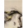 Notes MOLESKINE 2026 Horse, L, w linie, Calligraphy, box