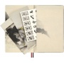 Notes MOLESKINE 2026 Horse, L, w linie, Calligraphy, Notatniki, Zeszyty i bloki